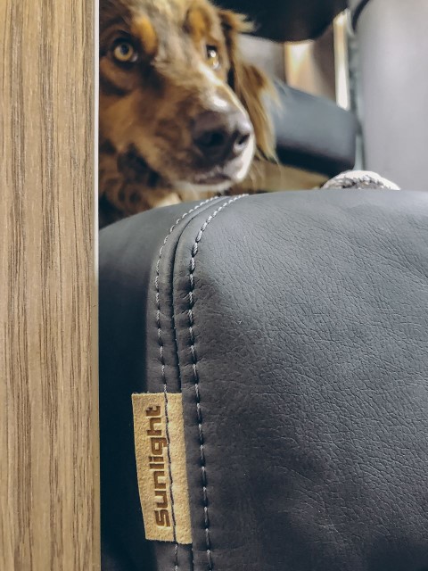 Sunlight Hundebett mit Einlegekissen 820x700mm