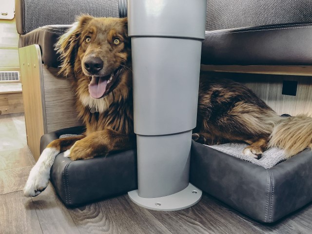 Sunlight Hundebett mit Einlegekissen 820x700mm