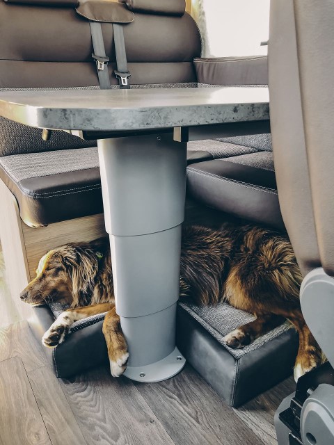 Sunlight Hundebett mit Einlegekissen 820x700mm