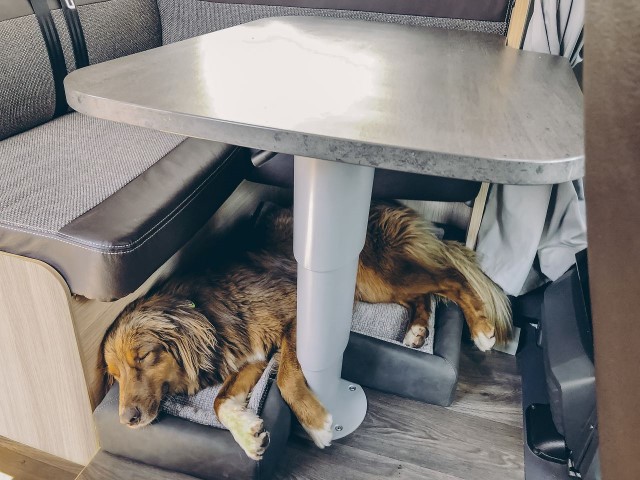 Sunlight Hundebett mit Einlegekissen 820x700mm